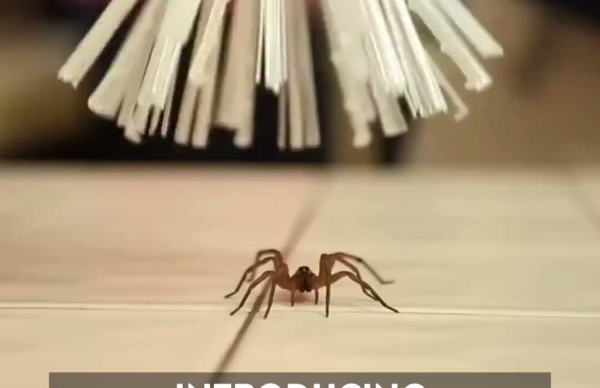 We all know someone who needs this...