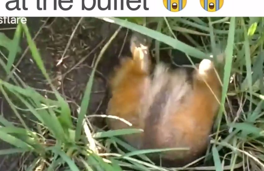 All about getting your moneys worth! Credit: Newsflare