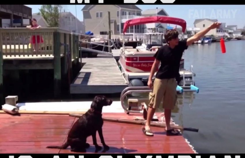 My Dog is an Olympian