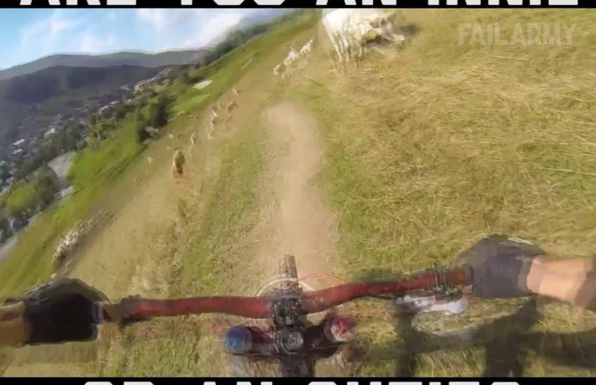 Are You An Innie or Outie Fails Compilations