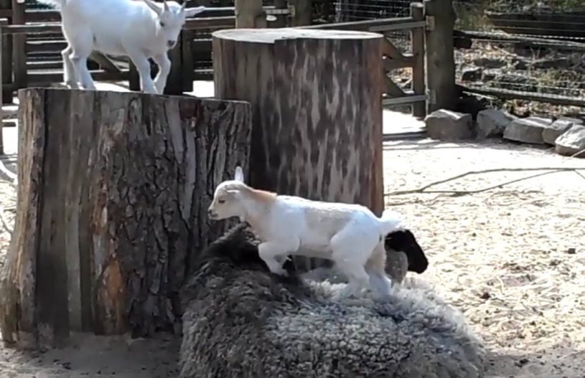 That one friend that just won't leave you alone