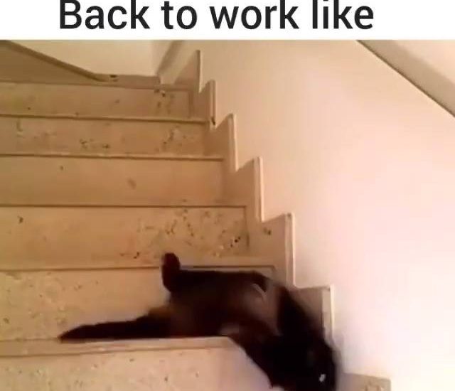 The struggle. #diplymix