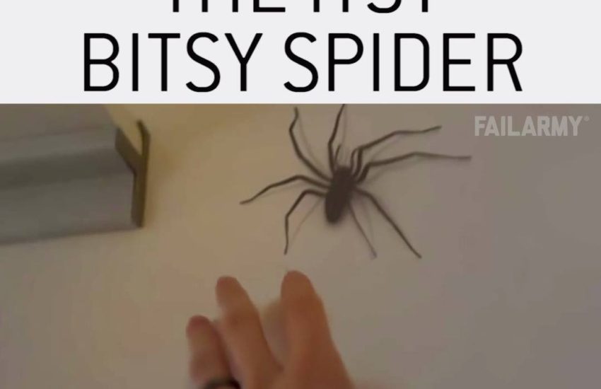 Spider Fails