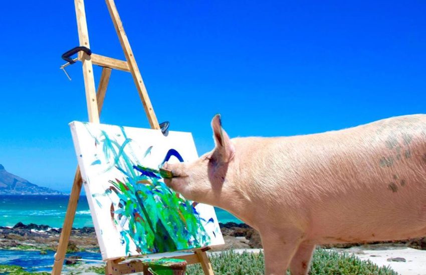Pigcasso is a trend setter in the art world! ? #diplyoriginals