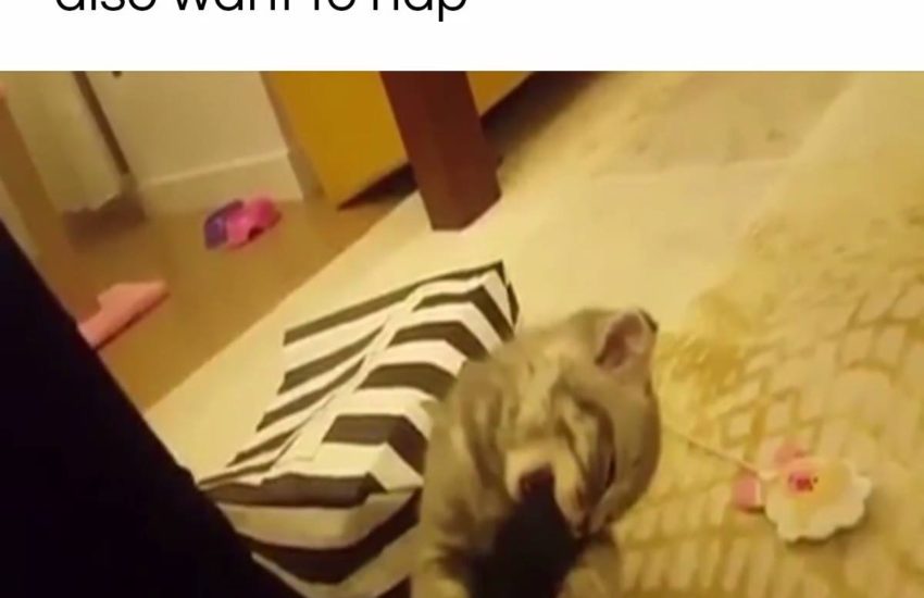"Just give me 5 minutes" #diplymix