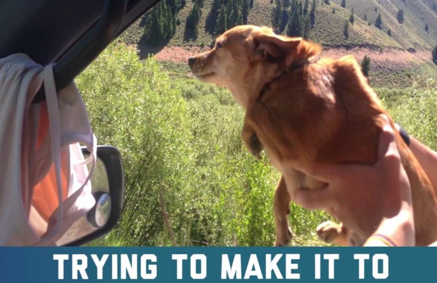 Trying to make it to work on time like..