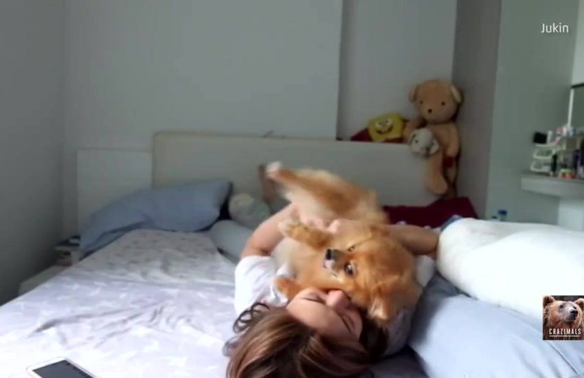 Clingy Dog Must Snuggle