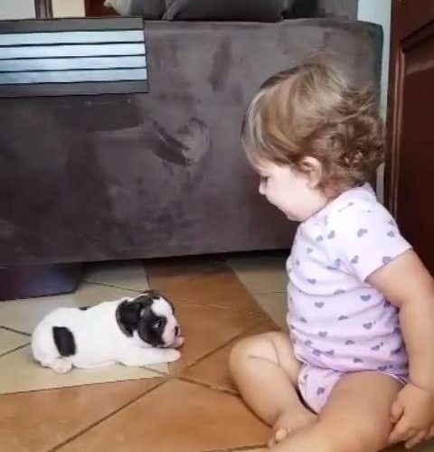 金髮小嬰兒 和 黑白點點幼犬 的第一次親密接觸
