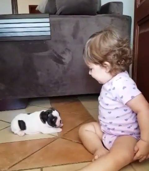 So much cuteness Credit: @jmarcoz Watch more: www.thebearshit.com
