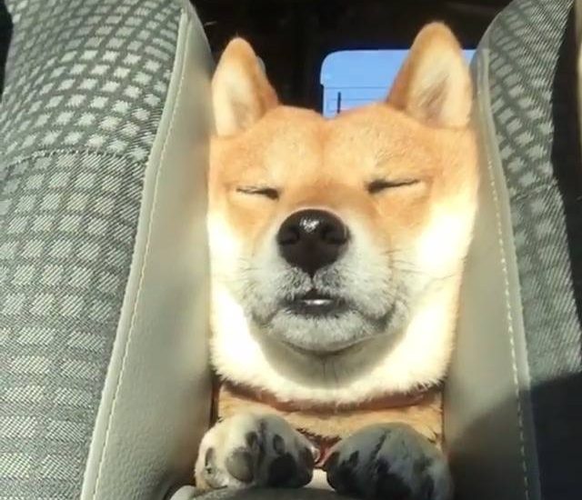 Mood Credit: @tazu29 Watch more: www.thebearshit.com