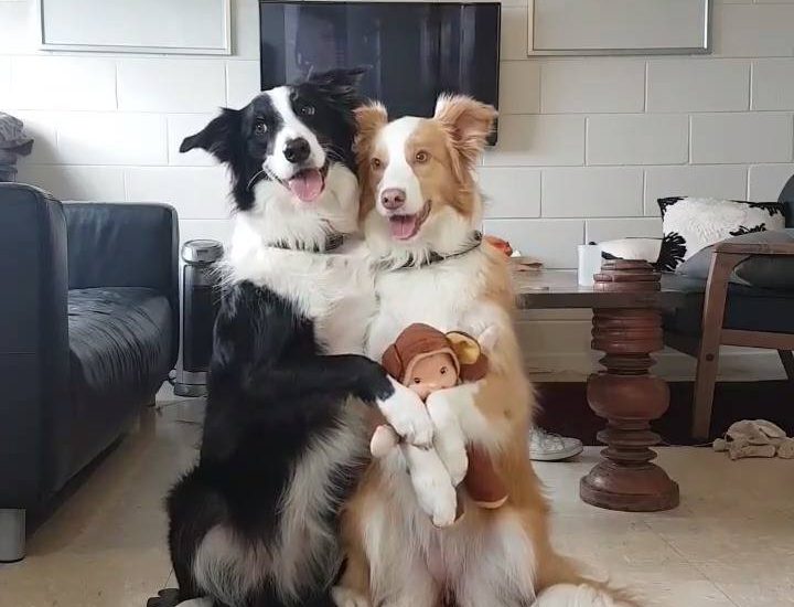 Photo time! Credit: Dai Aoki Watch more: www.thebearshit.com