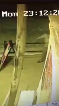 當你喝醉之後 欄杆和電話是你的好朋友 融合欄杆人