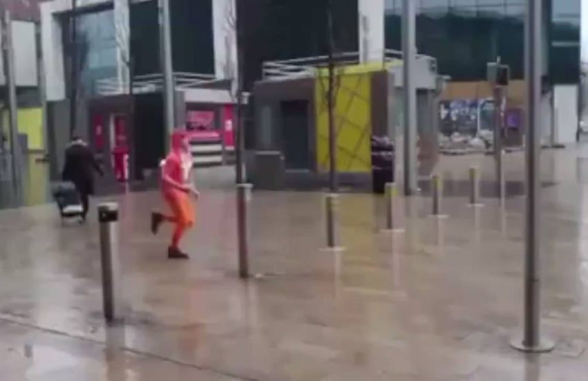 Stag do fox hunting.