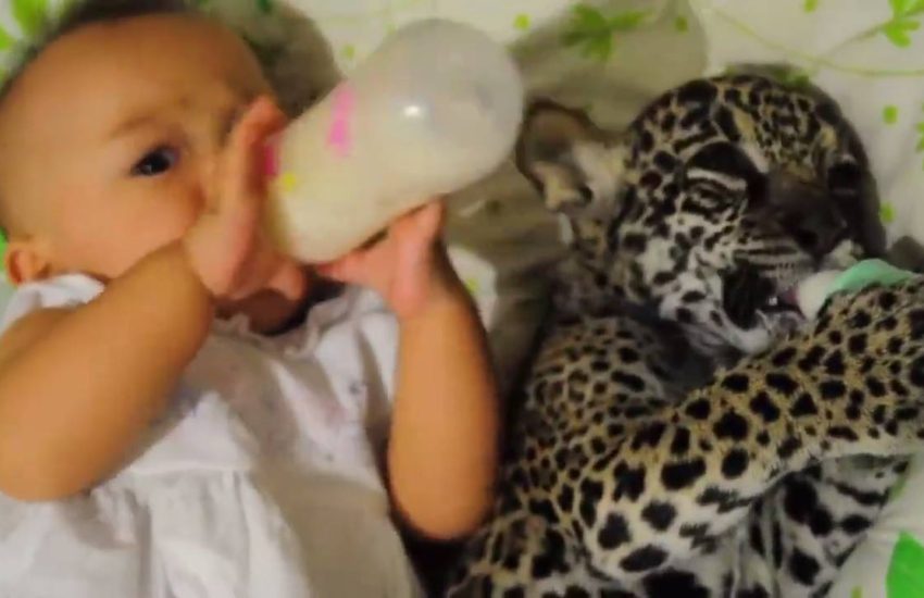 Baby Has The Coolest Best Friend