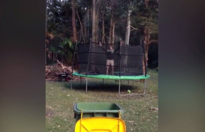 Ball Flip From Trampoline To Bin