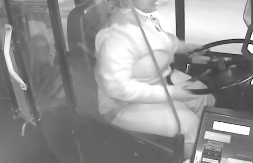 This Bus Driver Is About To Take A Break Before She Spots Some...
