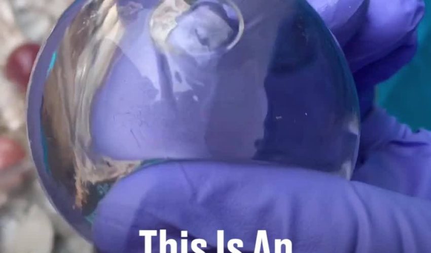 神奇水滴瓶 這是一個可食用的水瓶