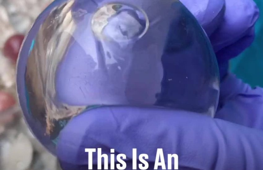 This Is An Edible Water Bottle