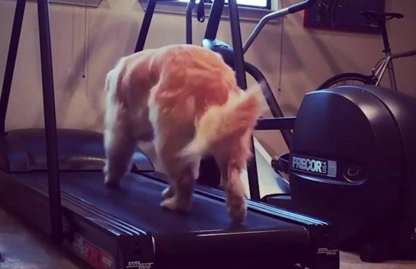 Me After 5 Minutes Of The Gym