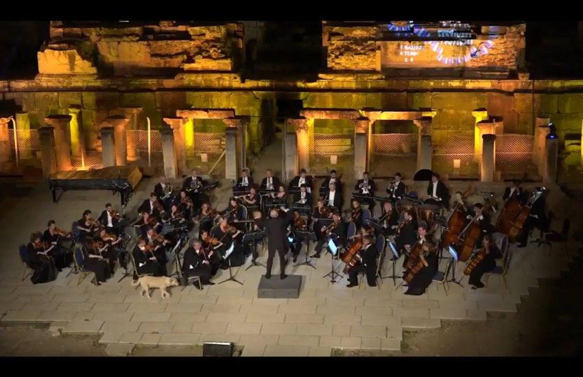Dog Interrupts Orchestra