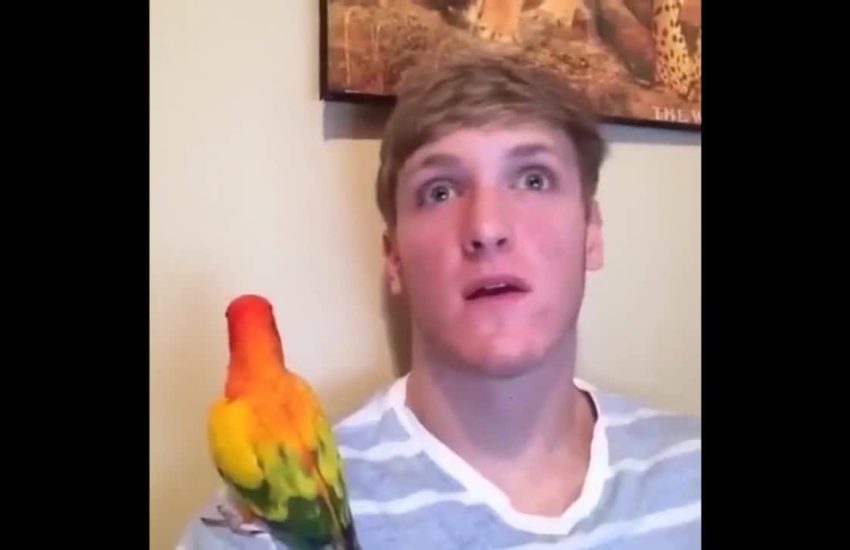 Logan Paul YouTube Compilation #2
