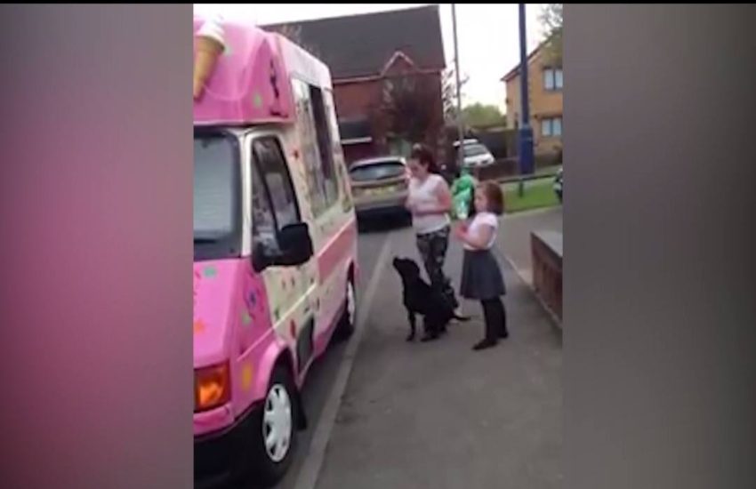 This dog loves the ice cream truck