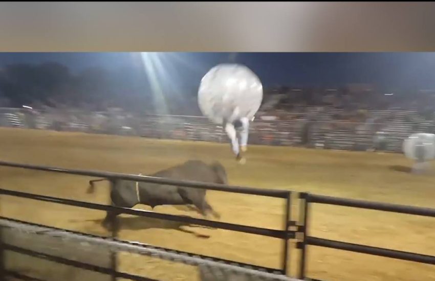 Ozzy man reviews rodeo meets soccer