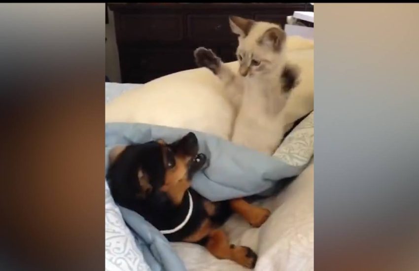 When bae is trying to sleep but you're not tired