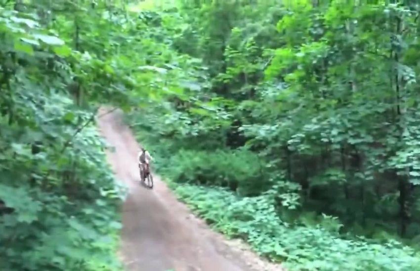 Hey bud, I don't think that's part of the trick.