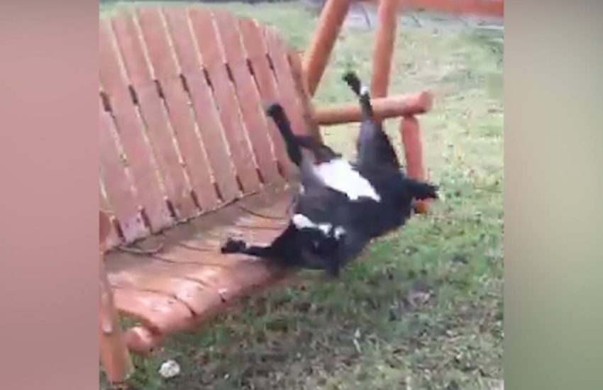 Trying to get in an Uber after a night out