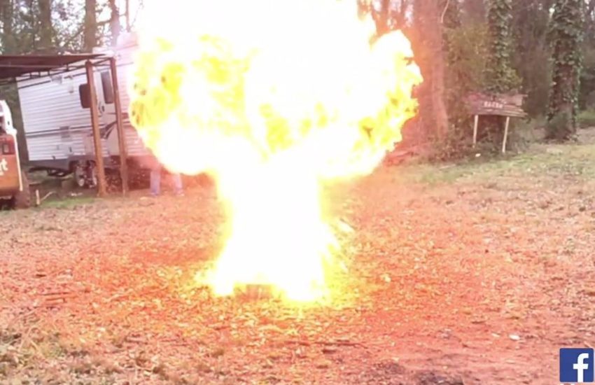 How to clean your cat's litter box