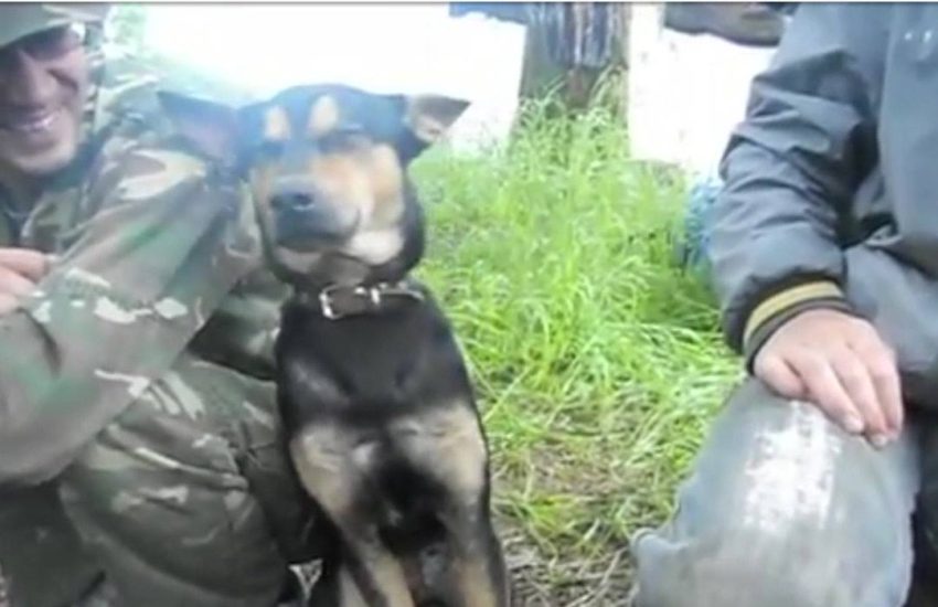 Trying to stay awake at work on a Monday