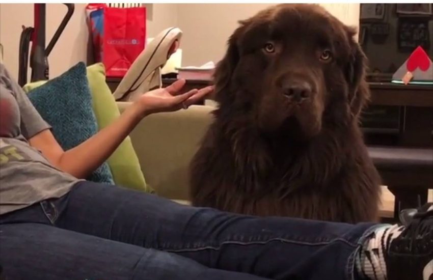 I have never seen such extreme levels of disappointment