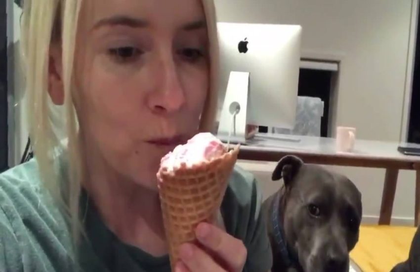 The 6 stages of ice cream stalking