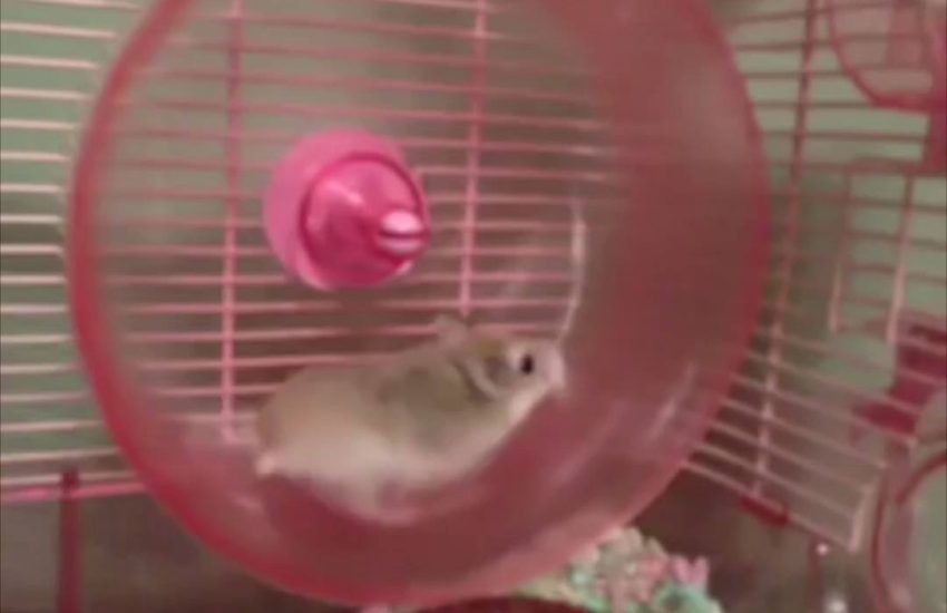 "How's your week going?" Me: