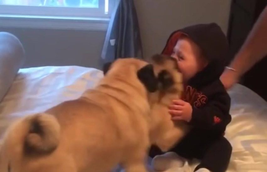 This will make you smile