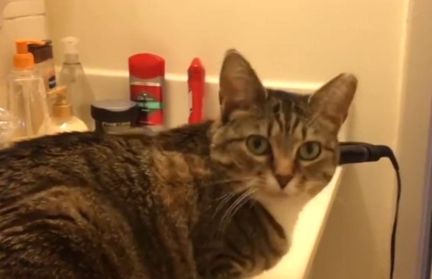 If you need to ask, you don't know me