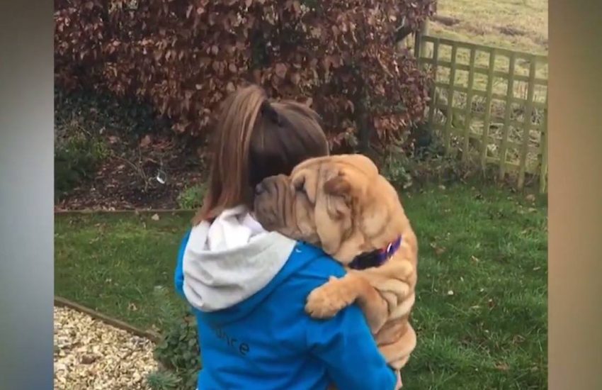 When you're dogsitting but gym is life