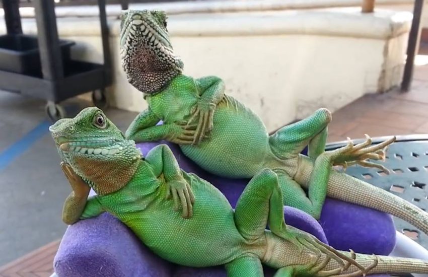 When you stay out late and your parents are waiting for you wh...