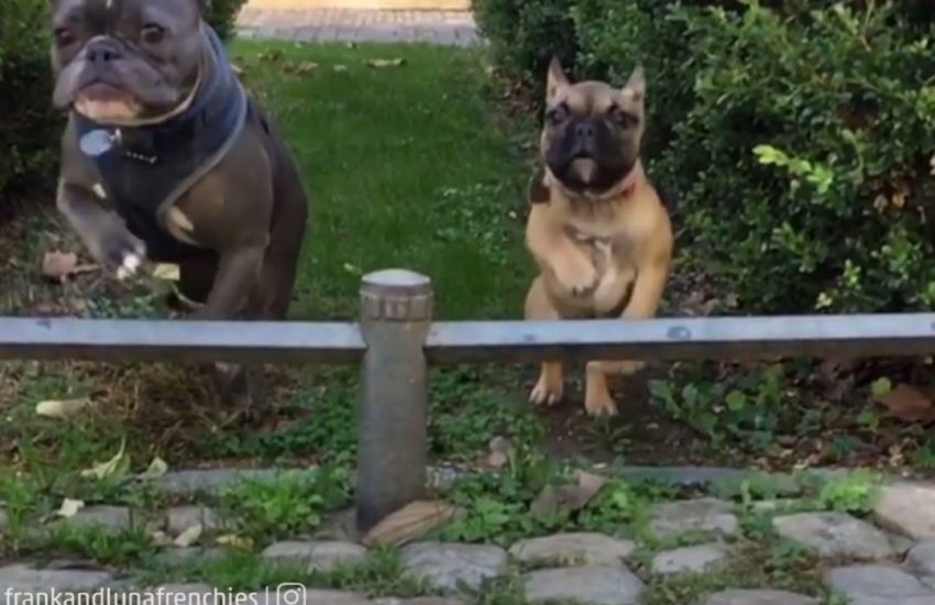 Racing Toward the Weekend Like