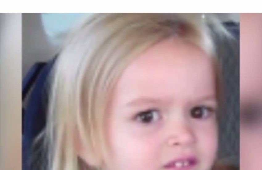 Did I say you could put that there? #diplymix