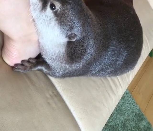 Waiting for food like Watch more: www.thebearshit.com