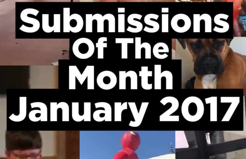 Submissions Of The Month - January 2017