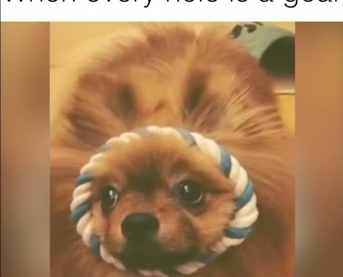 When every hole is a goal