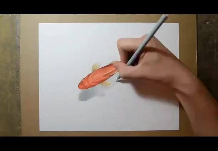 3D金魚 一分鐘素描給你看 即時錄影