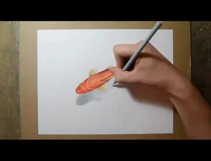 3D Goldfish Drawing. Amazing Art!!!