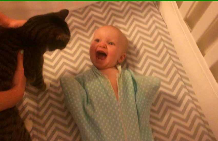 When the cat enters the room, this baby so excited to see her! <3 <3 via - JukinMedia