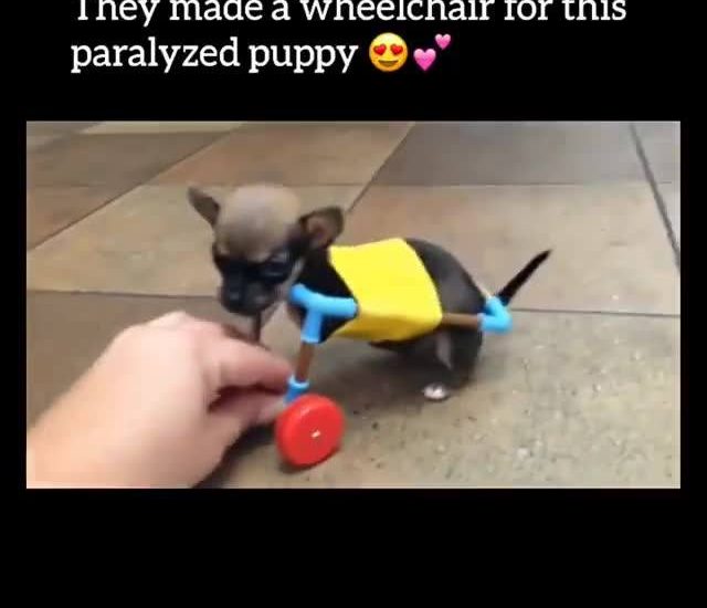 Helping those in need <3 #diplymix