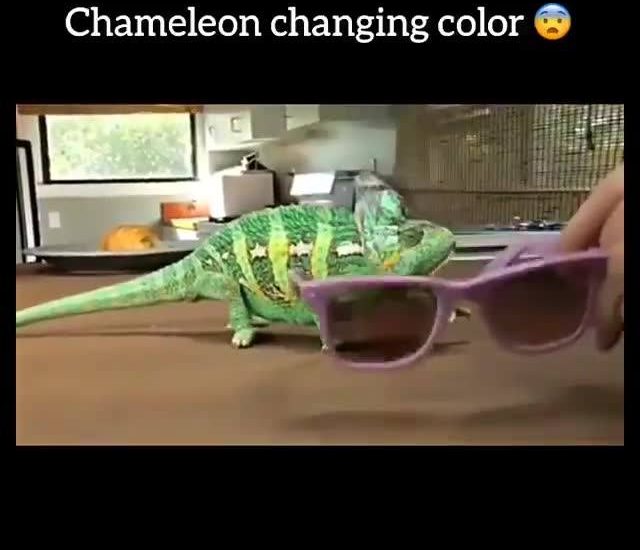 Wait for it! #diplymix