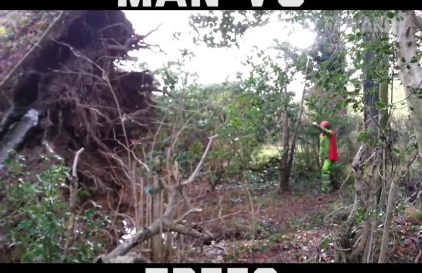 Man VS Tree
